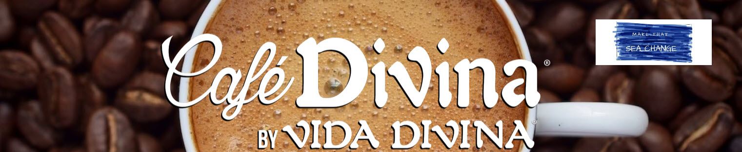 Vida Divina MLM Review - Header