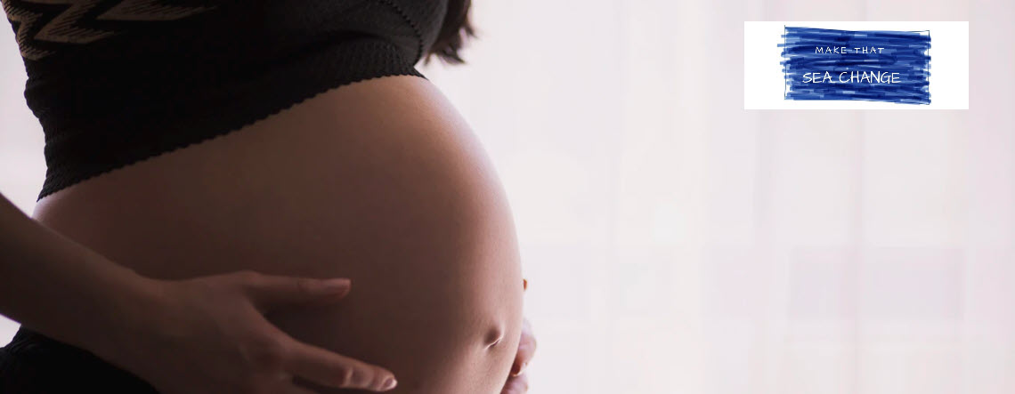 Maternity Affiliate Programs - header