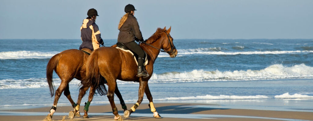 horse riding affiliate programs - riding horses on beach